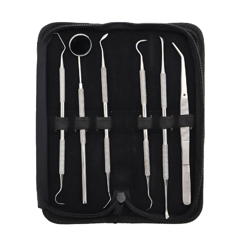 Dental Student Kit – 6-Piece Stainless Steel Dental Hygiene Tool Set | Professional & Home Use