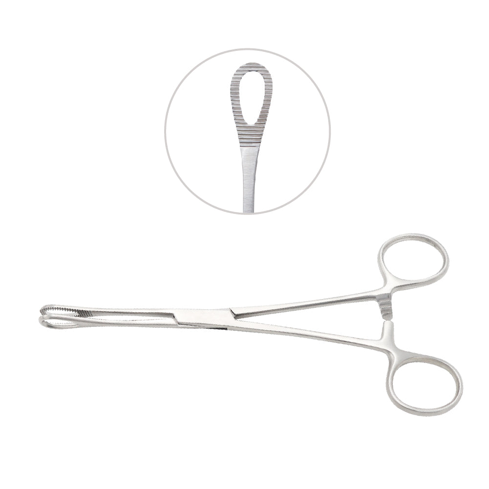 Forester Sponge Holding Forceps 18cm Straight