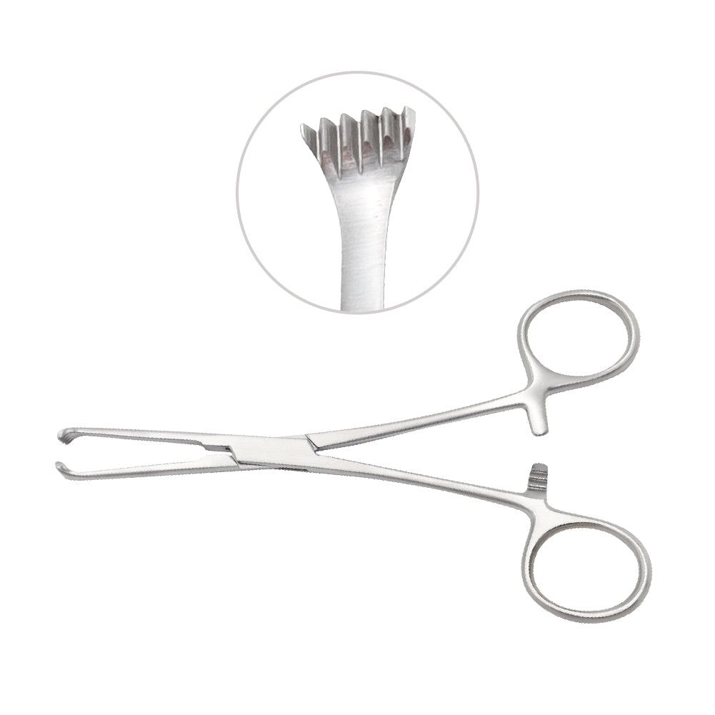 Allis Tissue Forceps 15 cm 5x6 Teeth