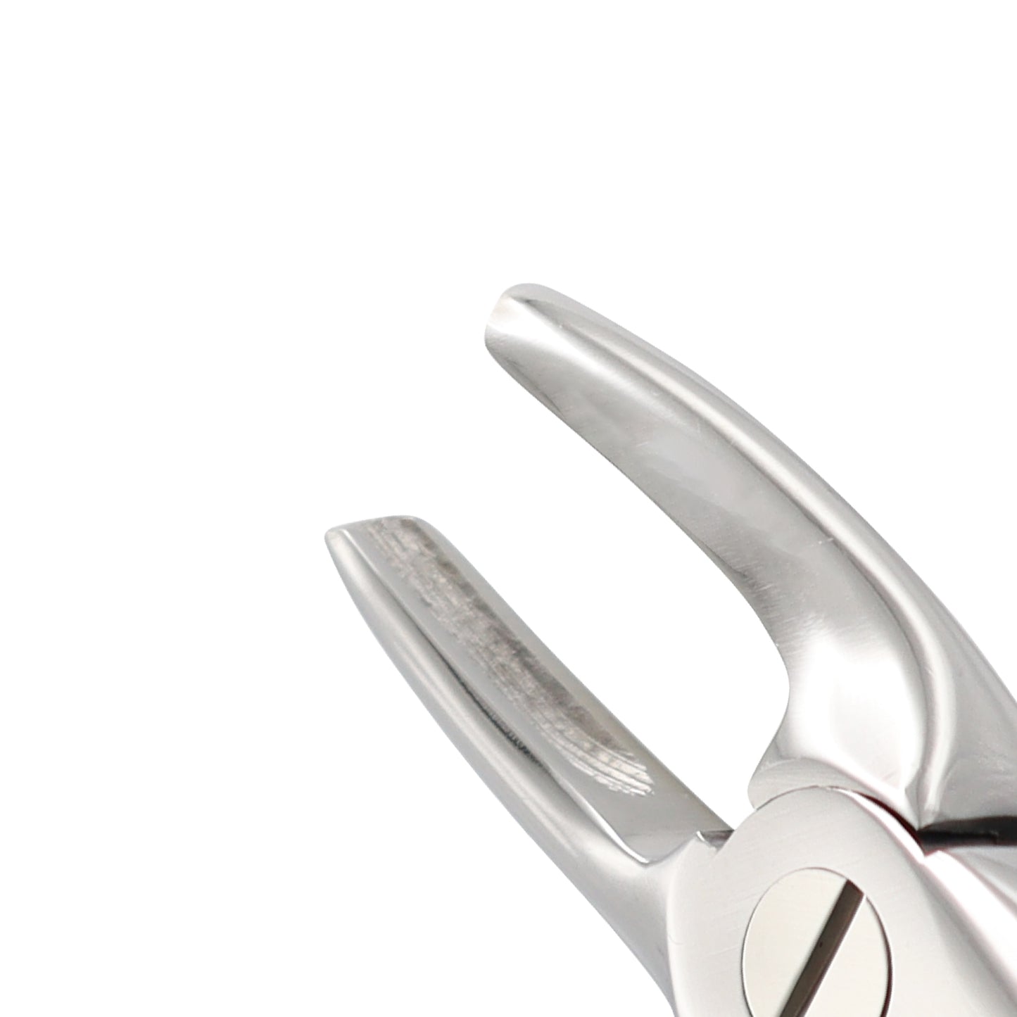 Extracting Forceps Fig. 7 – Upper Premolar Extraction Dental Forceps