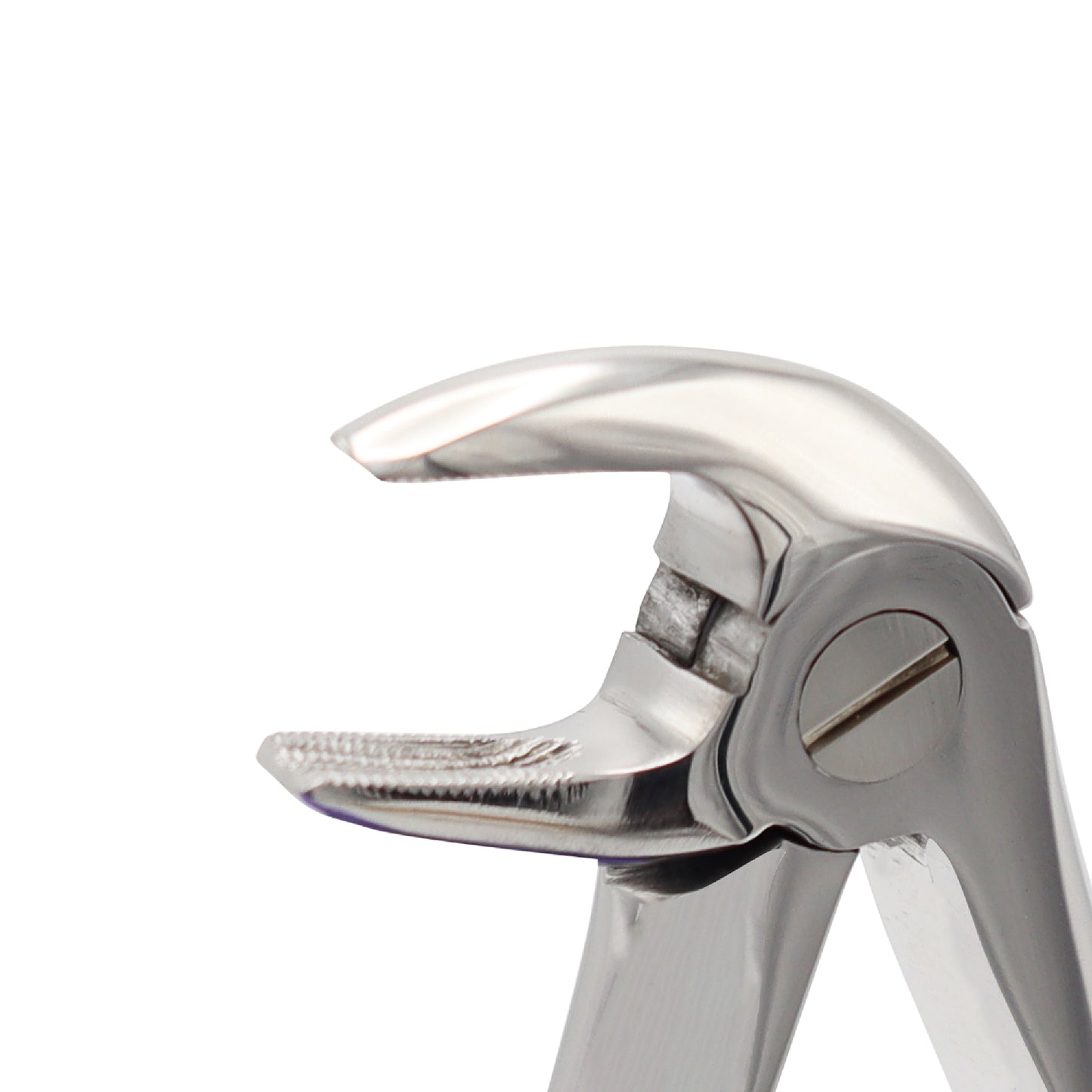 Extracting Forceps Fig 13 – Lower Premolar Extraction Dental Forceps