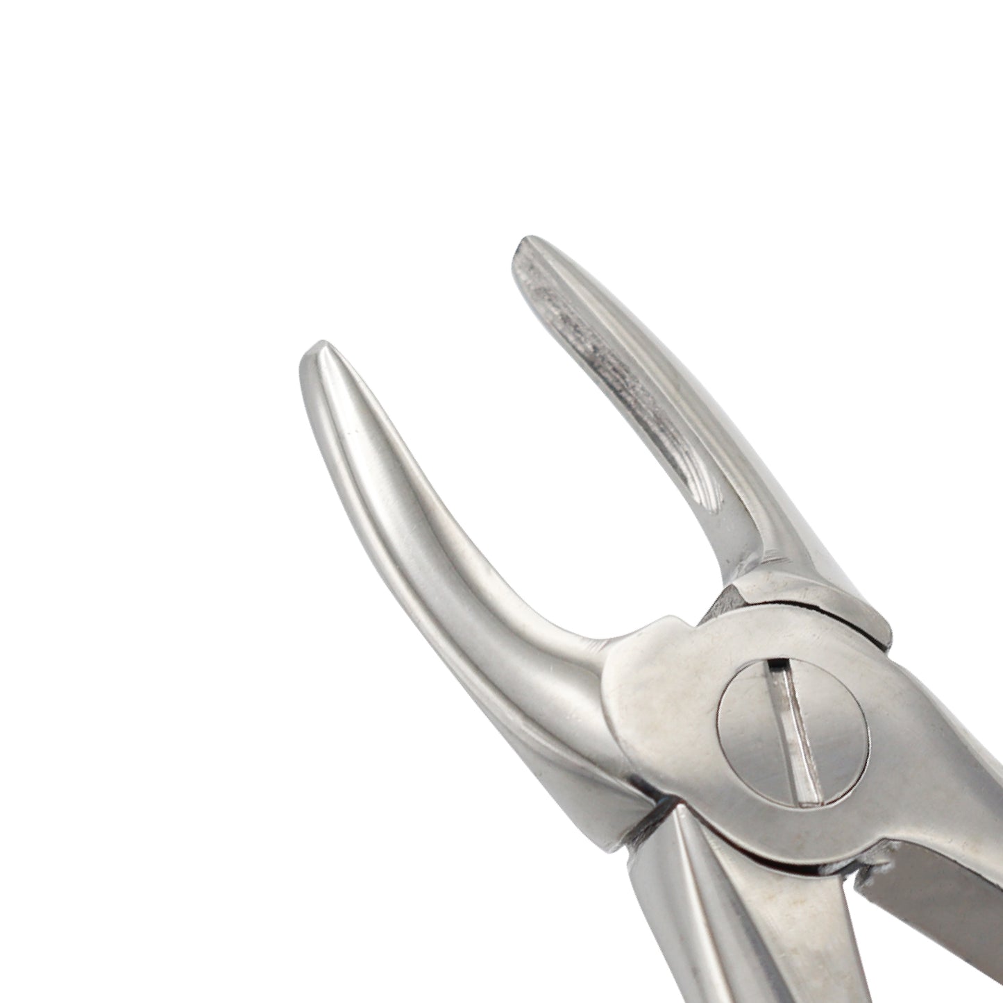 Extracting Forceps Fig 29 – Upper Roots Extraction Dental Forceps