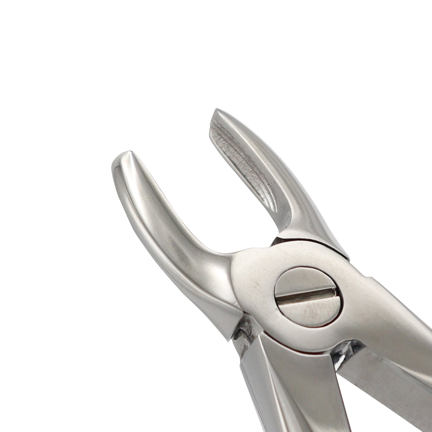 Pediatric Extracting Forceps Fig 37 – Upper Incisors Extraction for Children