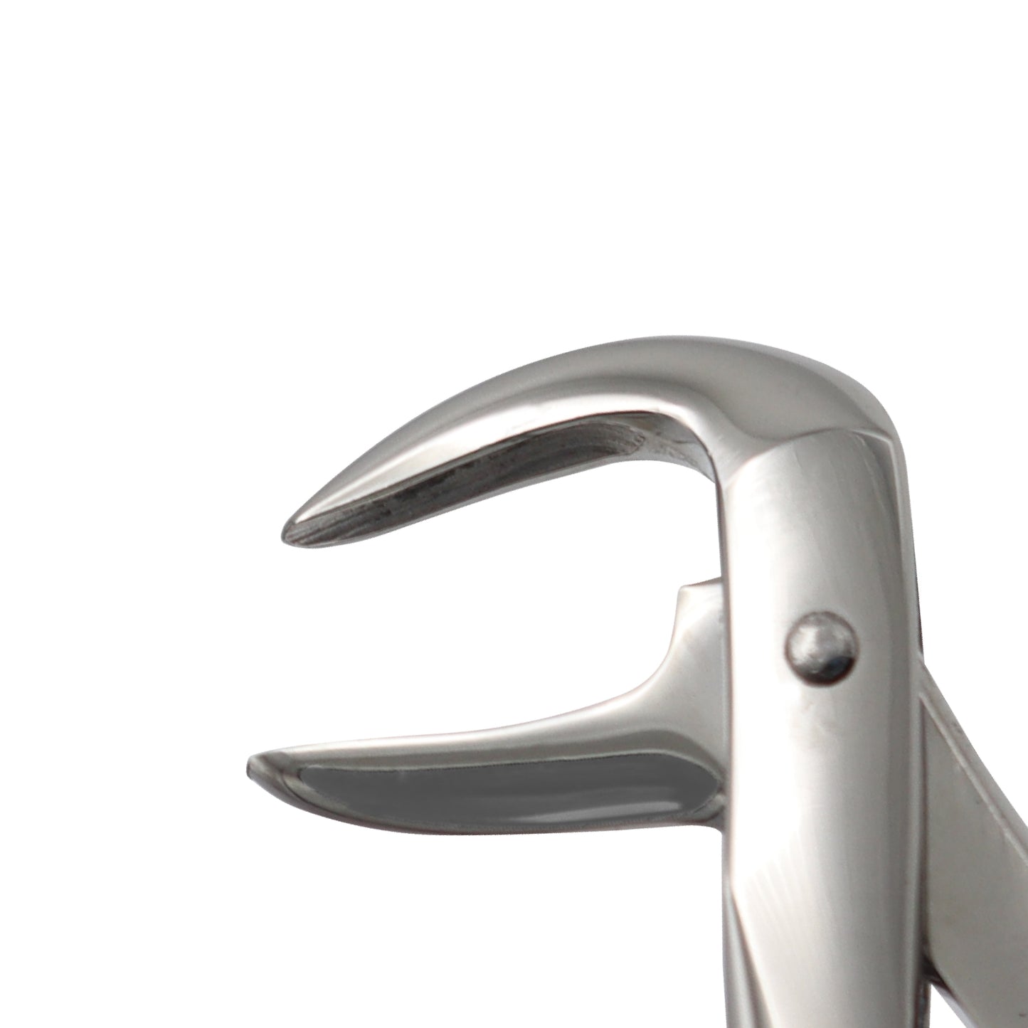 Extracting Forceps Fig 74 – Lower Roots Extraction Dental Forceps