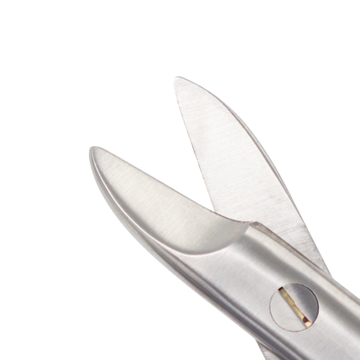 Bee Bee Crown Scissors Straight 10.5cm – Surgical Operating Scissors