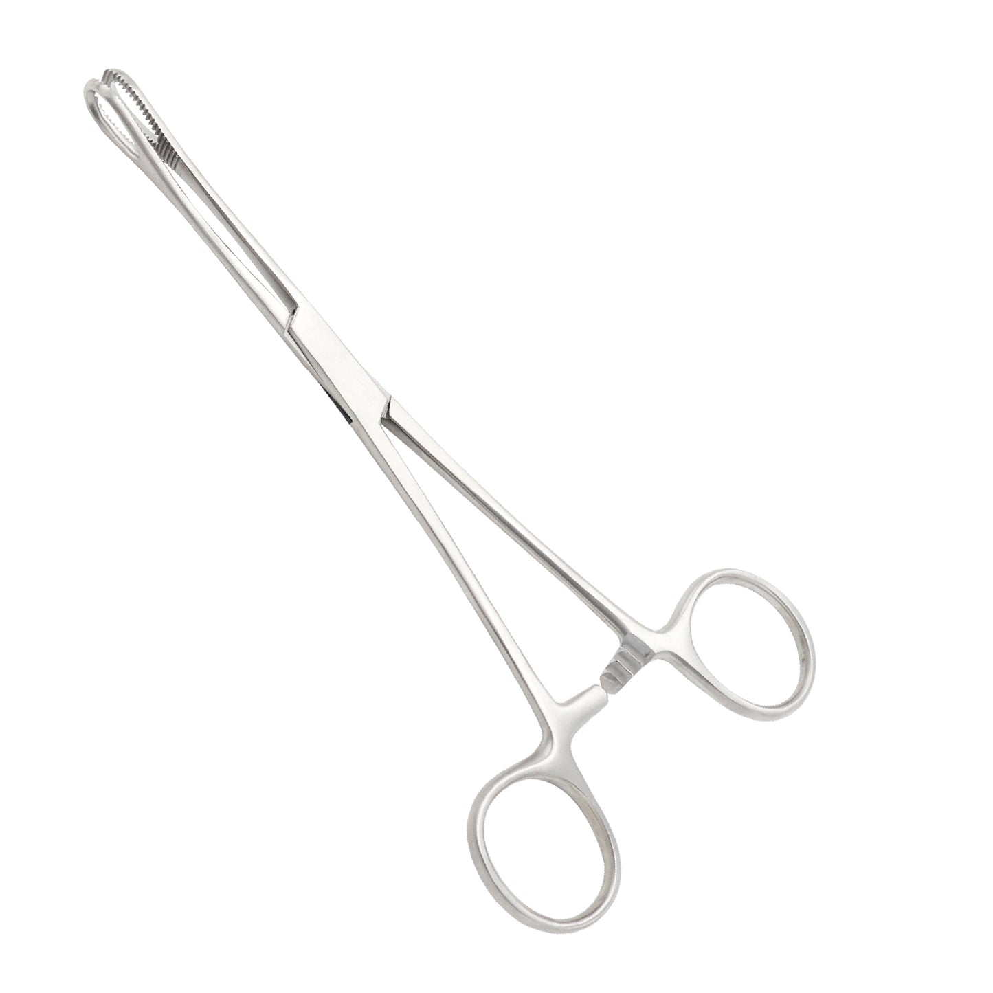 Sponge Forceps 20cm | Surgical Clamps for Sponges & Dressing Handling