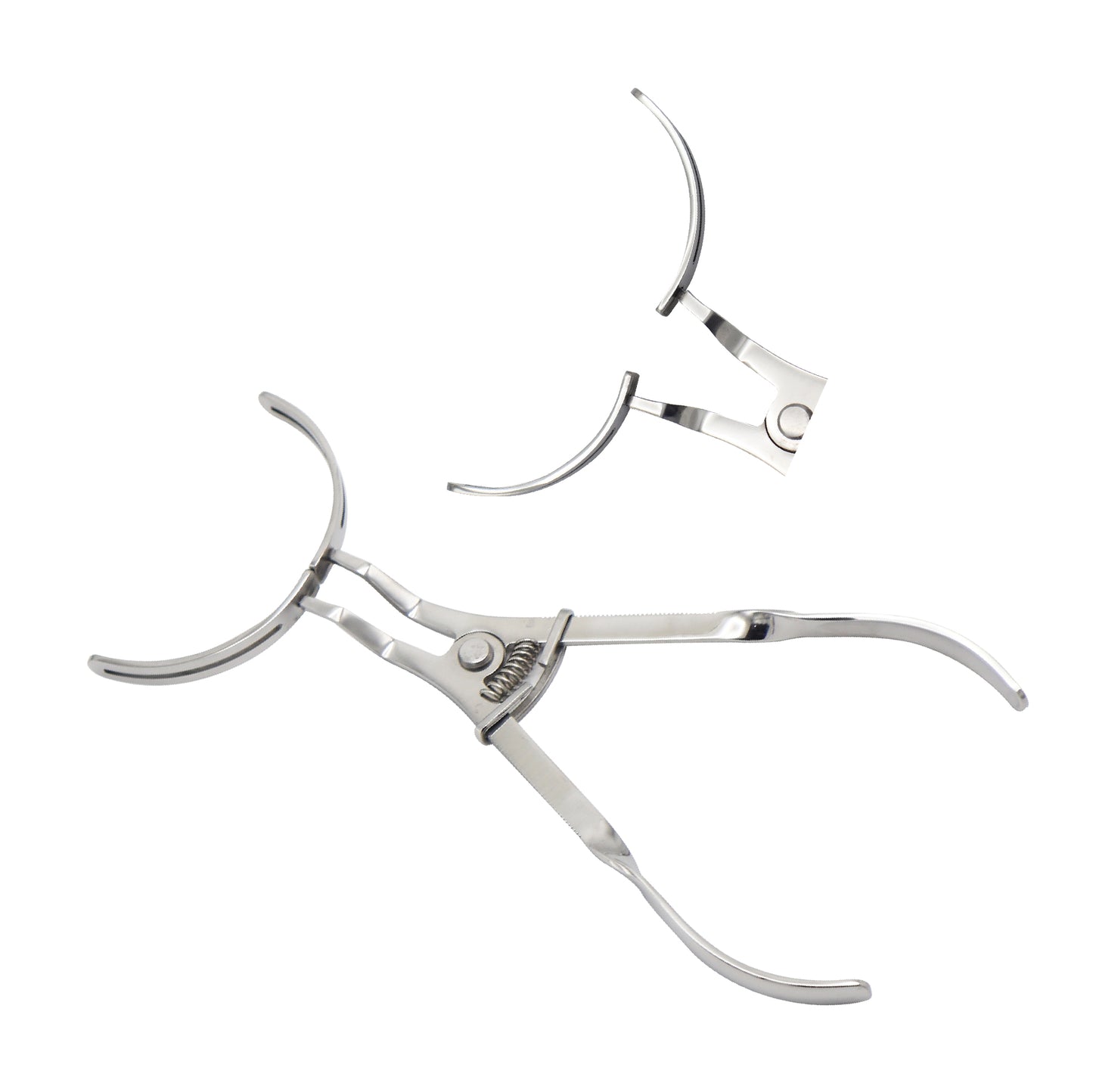 Vestibulum Lip & Cheek Retractor – Adult | German Grade Stainless Steel