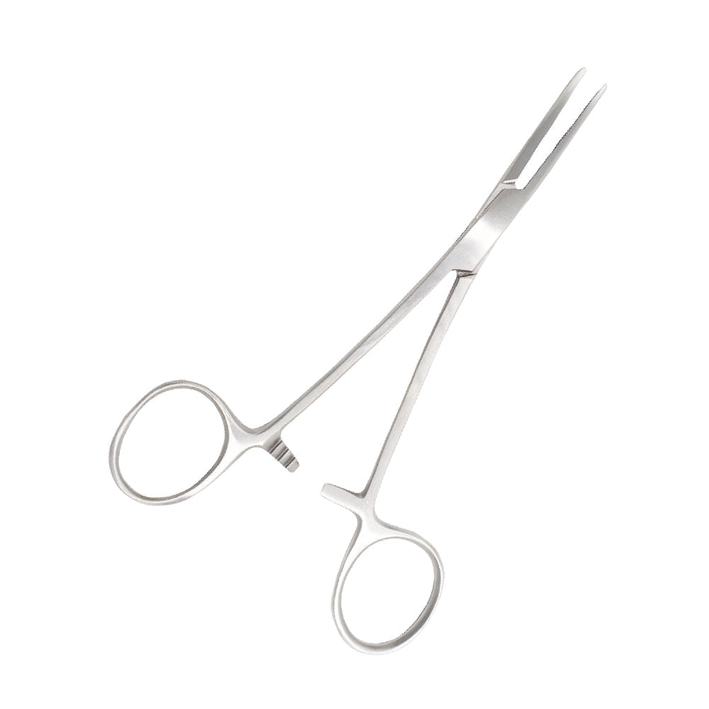 Student Anatomy Kits