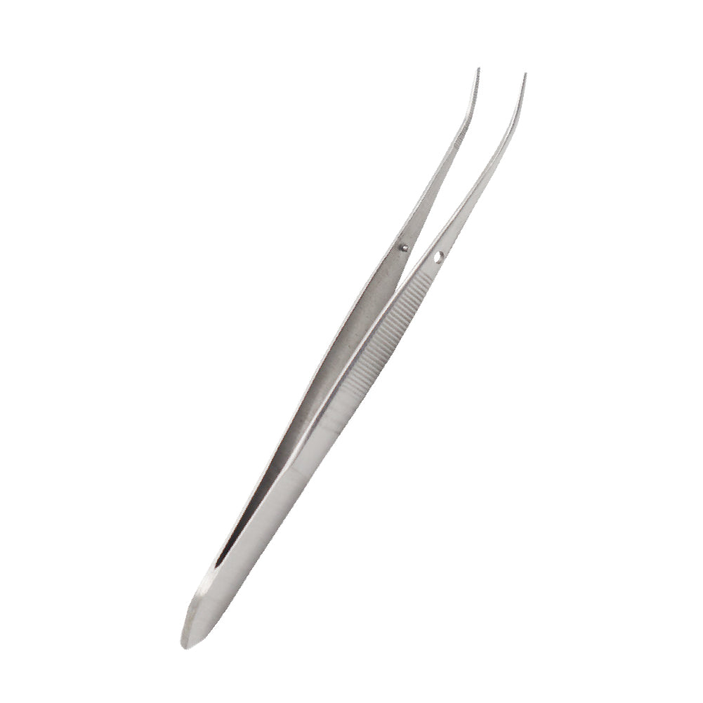 Student Anatomy Kits