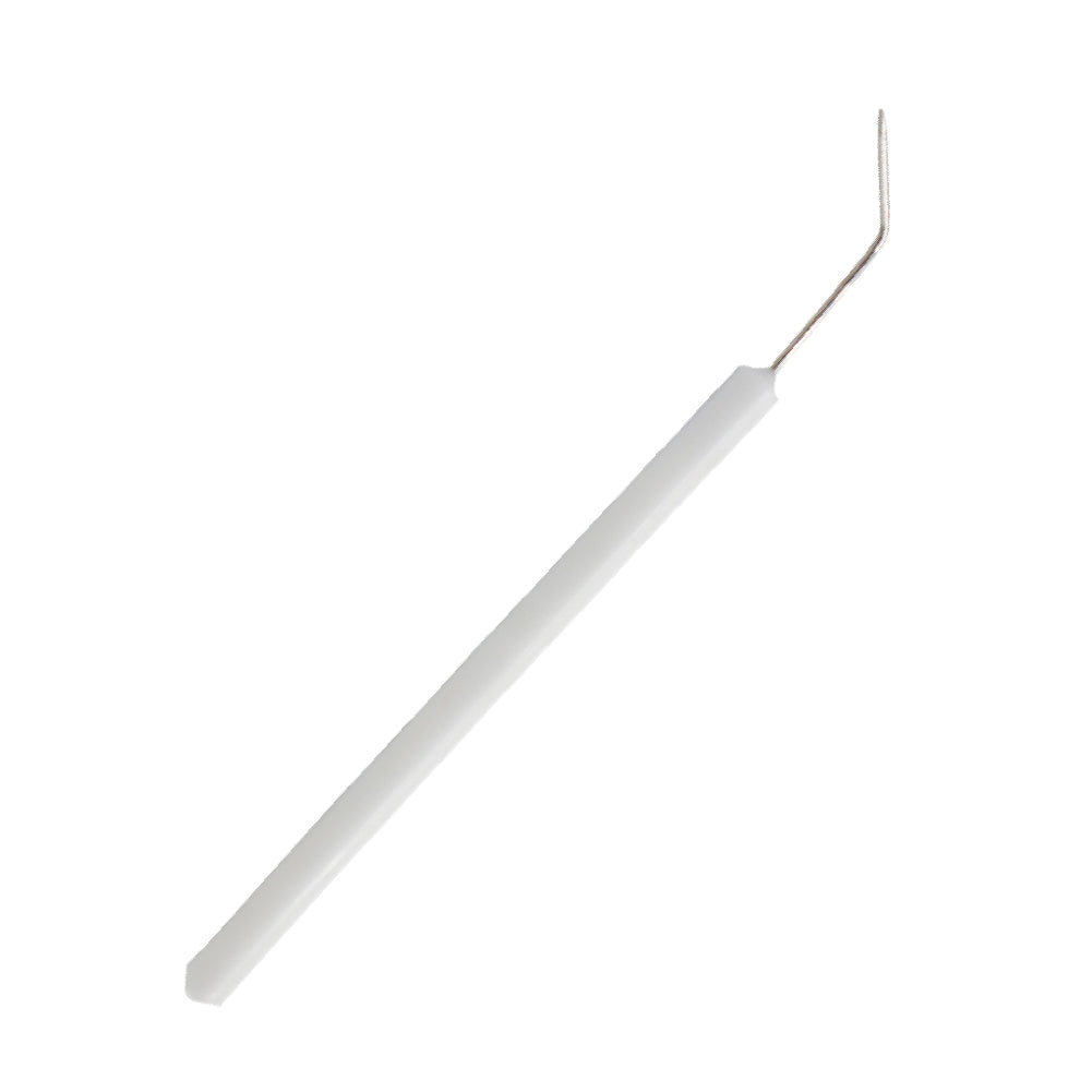 Student Anatomy Kits