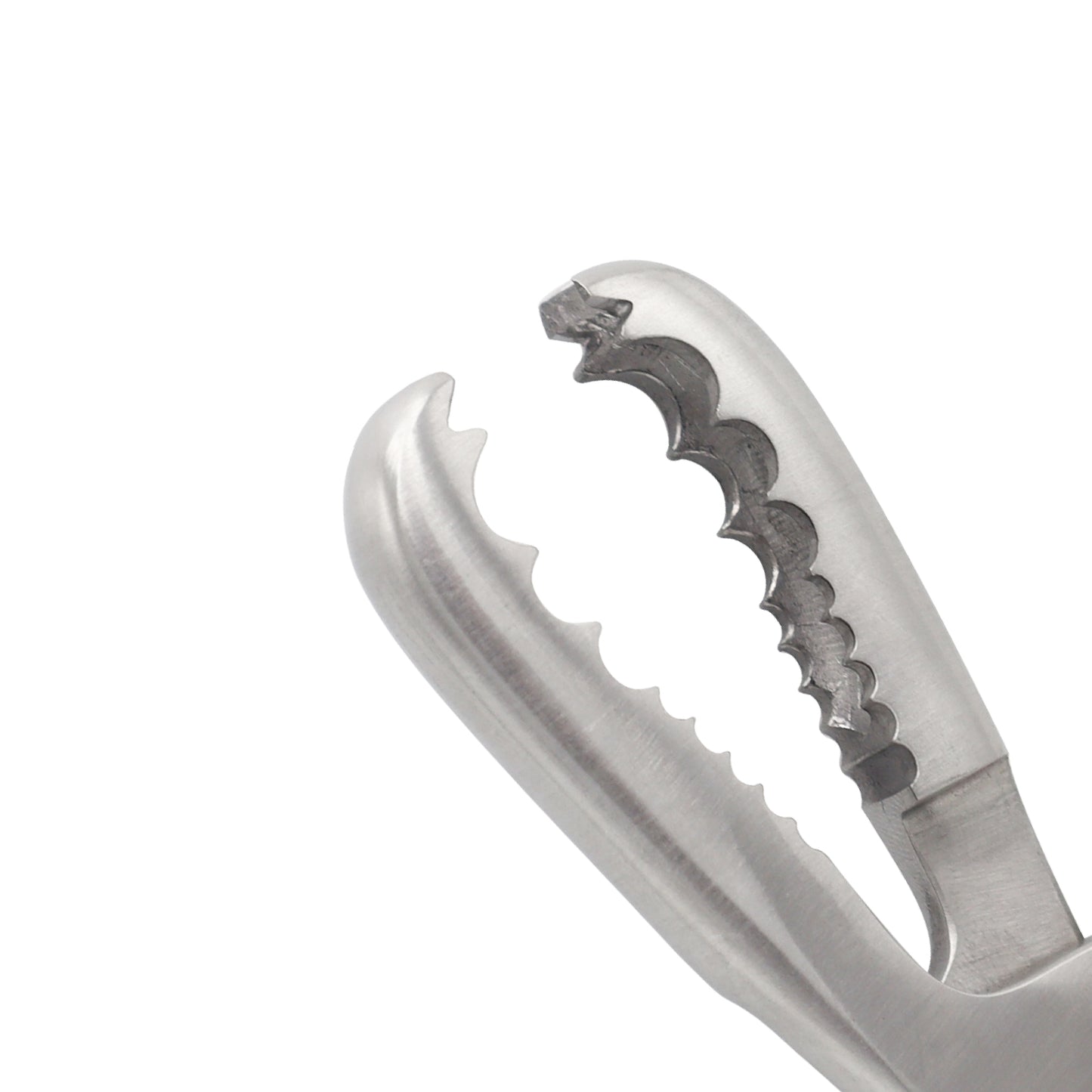 Farabeuf Lambotte Bone Holding Forceps with Ratchet – 23cm