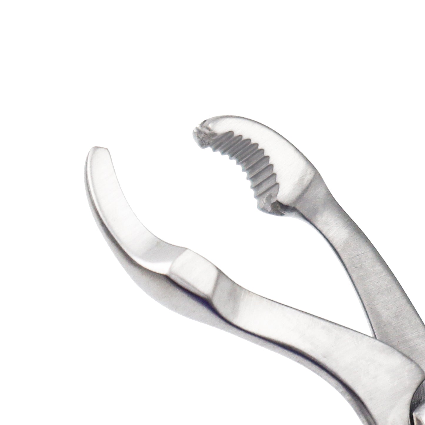 Verbrugge Bone Holding Forceps