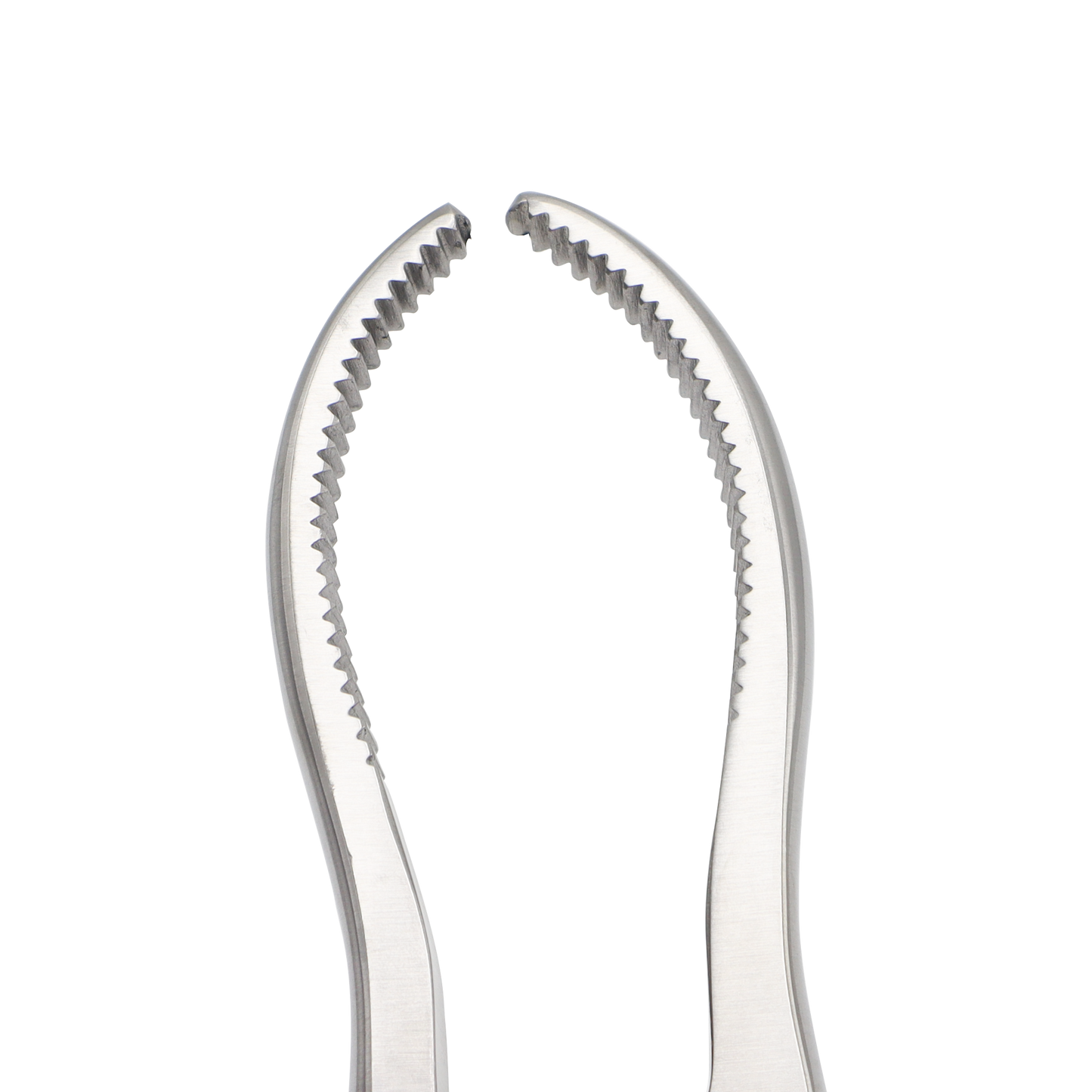 Hayton Williams Forward Traction Forceps Board Tips 23cm