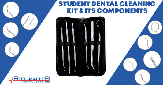 Dental Cleaning Kit