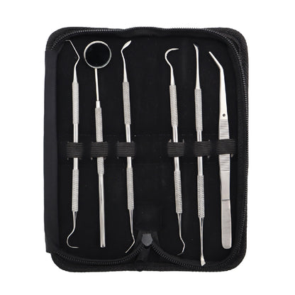 Dental Student Kits 6 Pieces Stainless Steel Dental Hygiene Tool Set