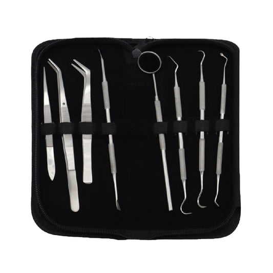 Professional Student kits 8 in 1 Teeth Dental cleaning kits Stainless Steel / Dental Oral Hygiene Kit