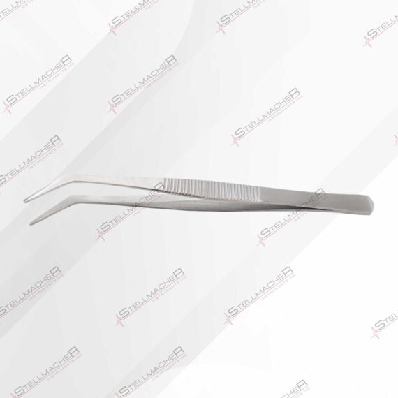 Dental cleaning kits