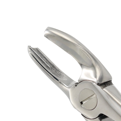 Extracting Forceps Fig 17 – Upper Molar Right Extraction Dental Forceps
