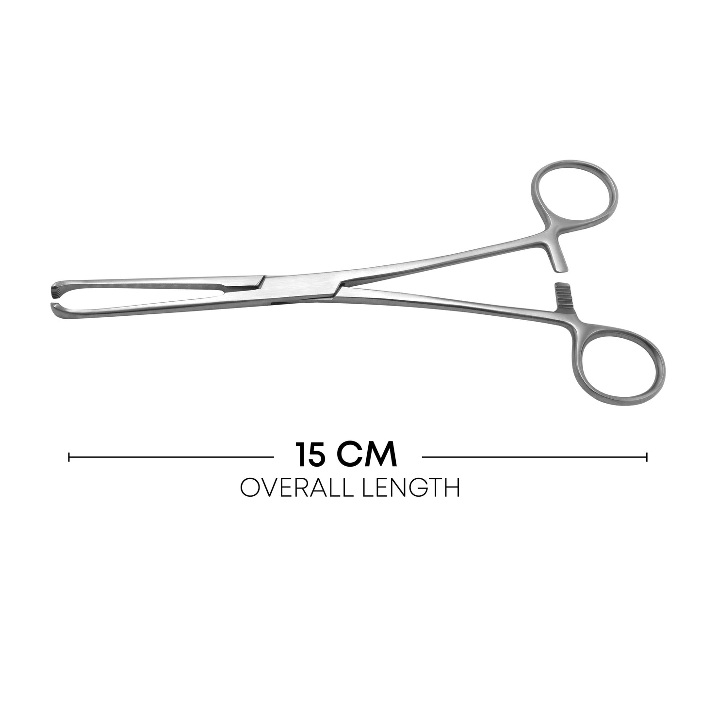 Reusable Allis Tissue Forceps 15cm – Surgical Grasping Clamp