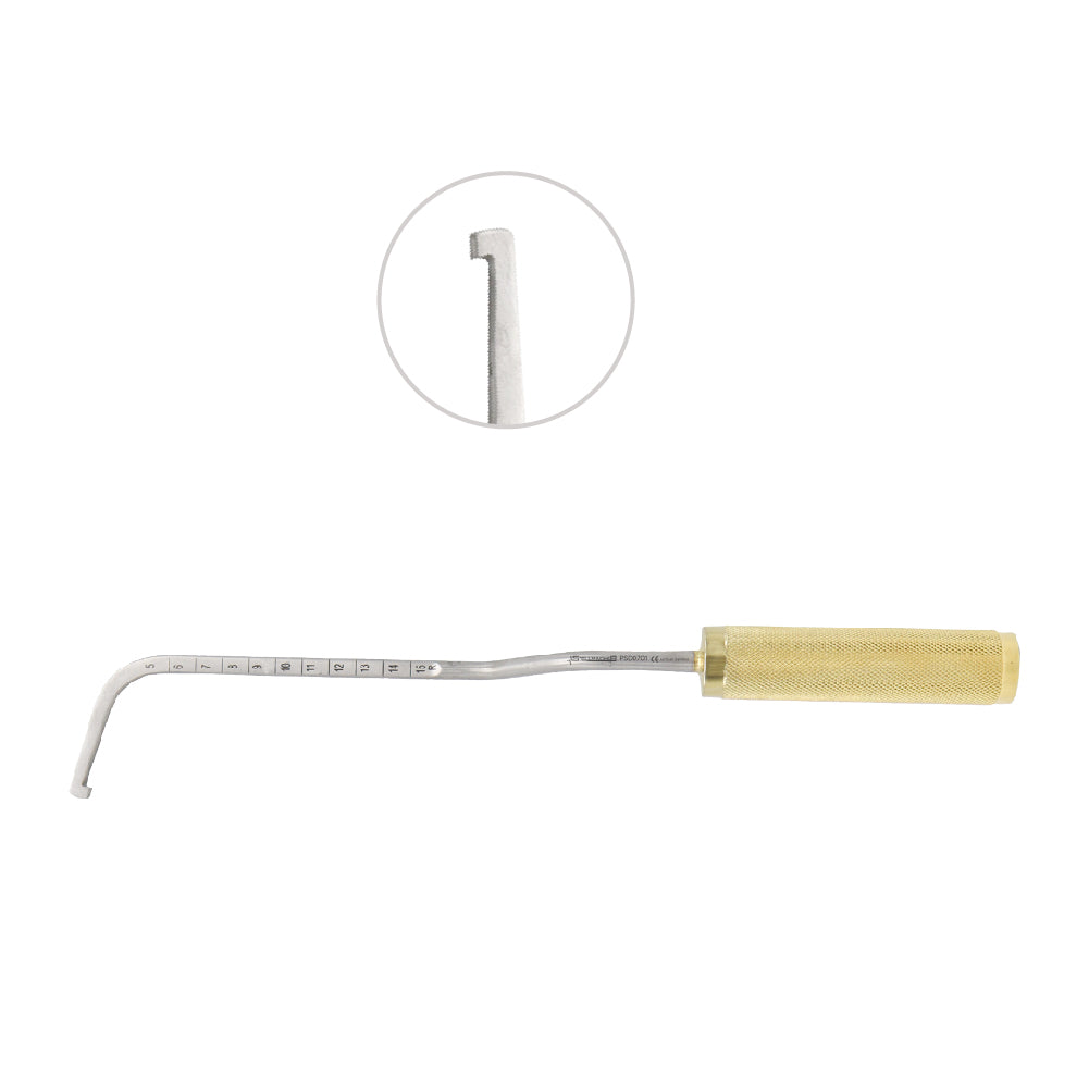 Agris Dingman Breast Dissector