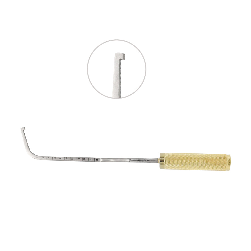 Agris Dingman Breast Dissector