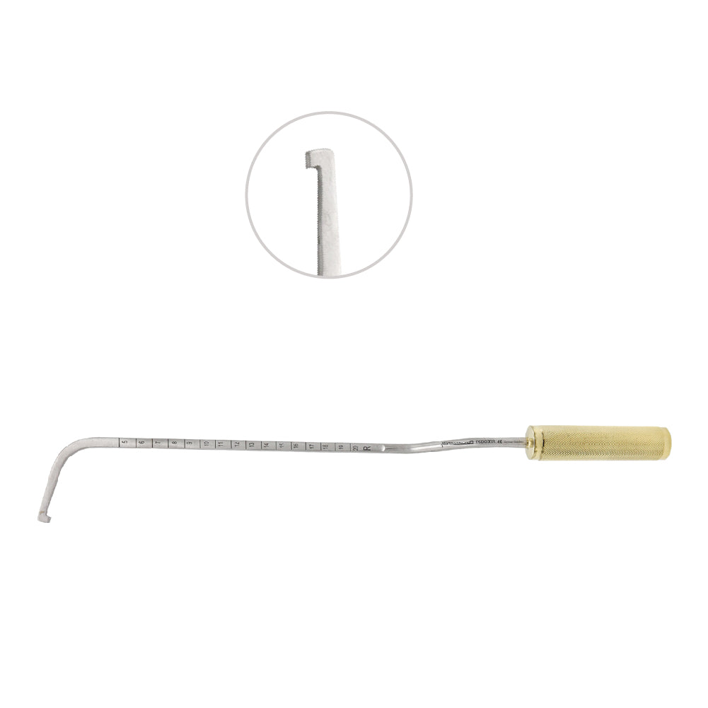 Agris Dingman Breast Dissector