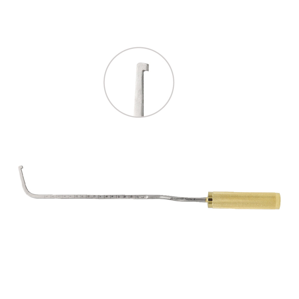 Agris Dingman Breast Dissector