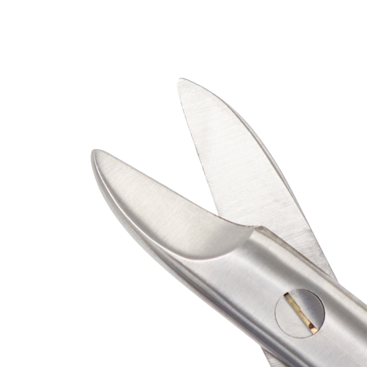 Bee Scissors Bee Bee Crown Scissors 10.5cm – Surgical Operating Scissors