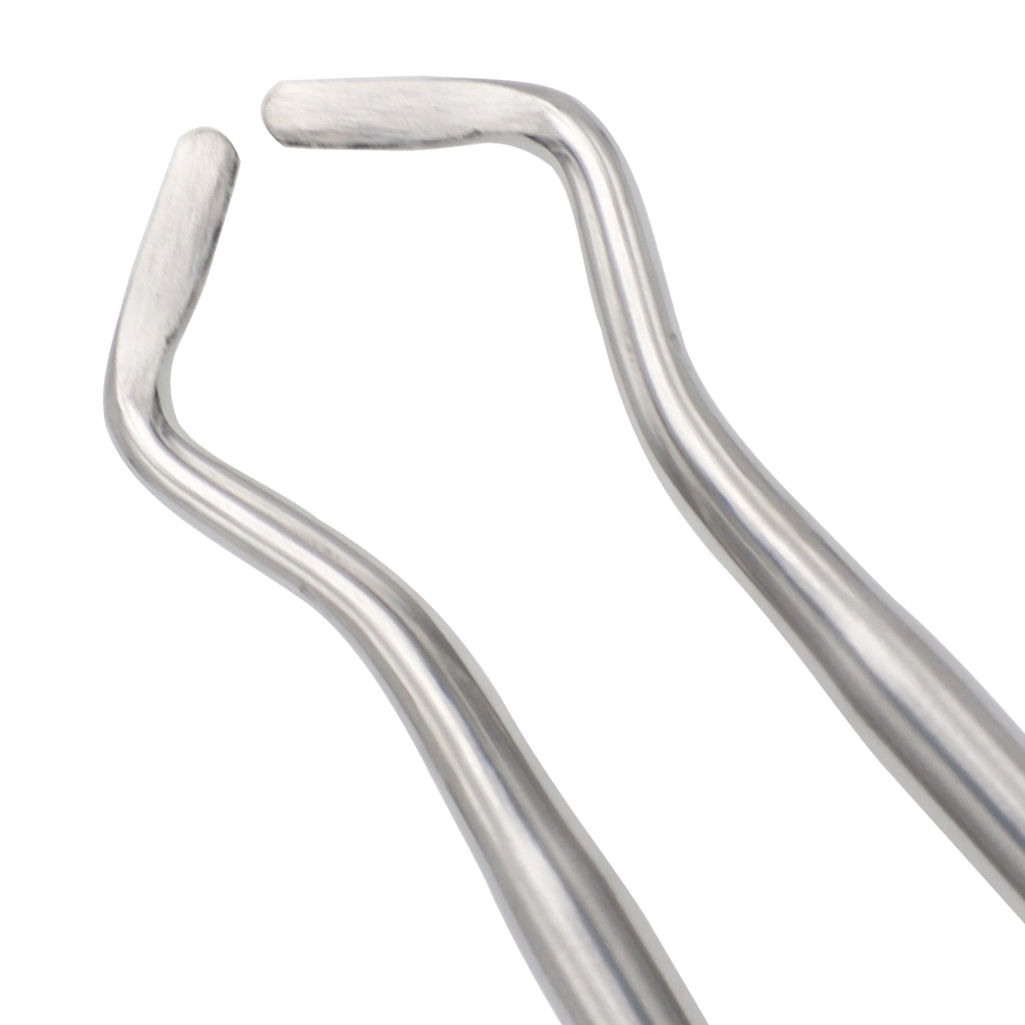 Dental Elevator Potts #6X & #7X Set – Surgical Tooth Extraction Elevators (Set of 2)