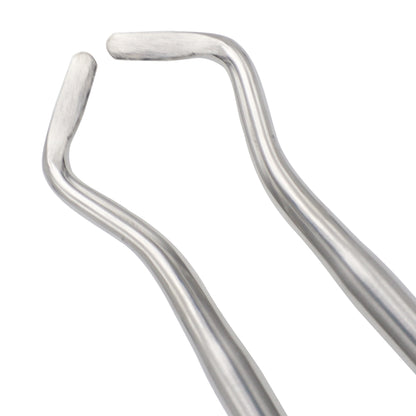 Dental Elevator Potts #6X & #7X Set – Surgical Tooth Extraction Elevators (Set of 2)