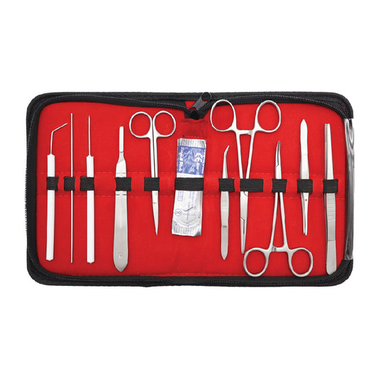 Student Anatomy Kits