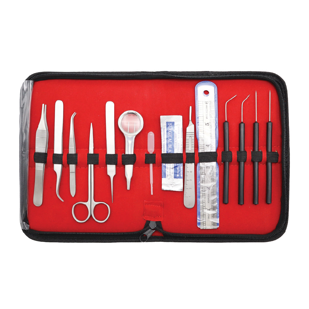 Student anatomy kits High quality student kits - Stellmacher Instruments inc.