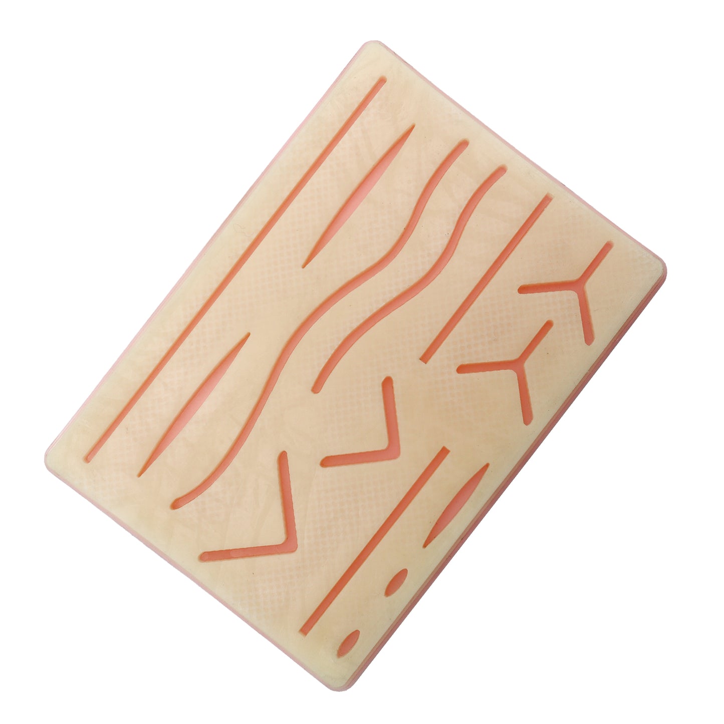 Complete Practice Student Suture Kits for Medical Students Training Kits - 19 Pcs