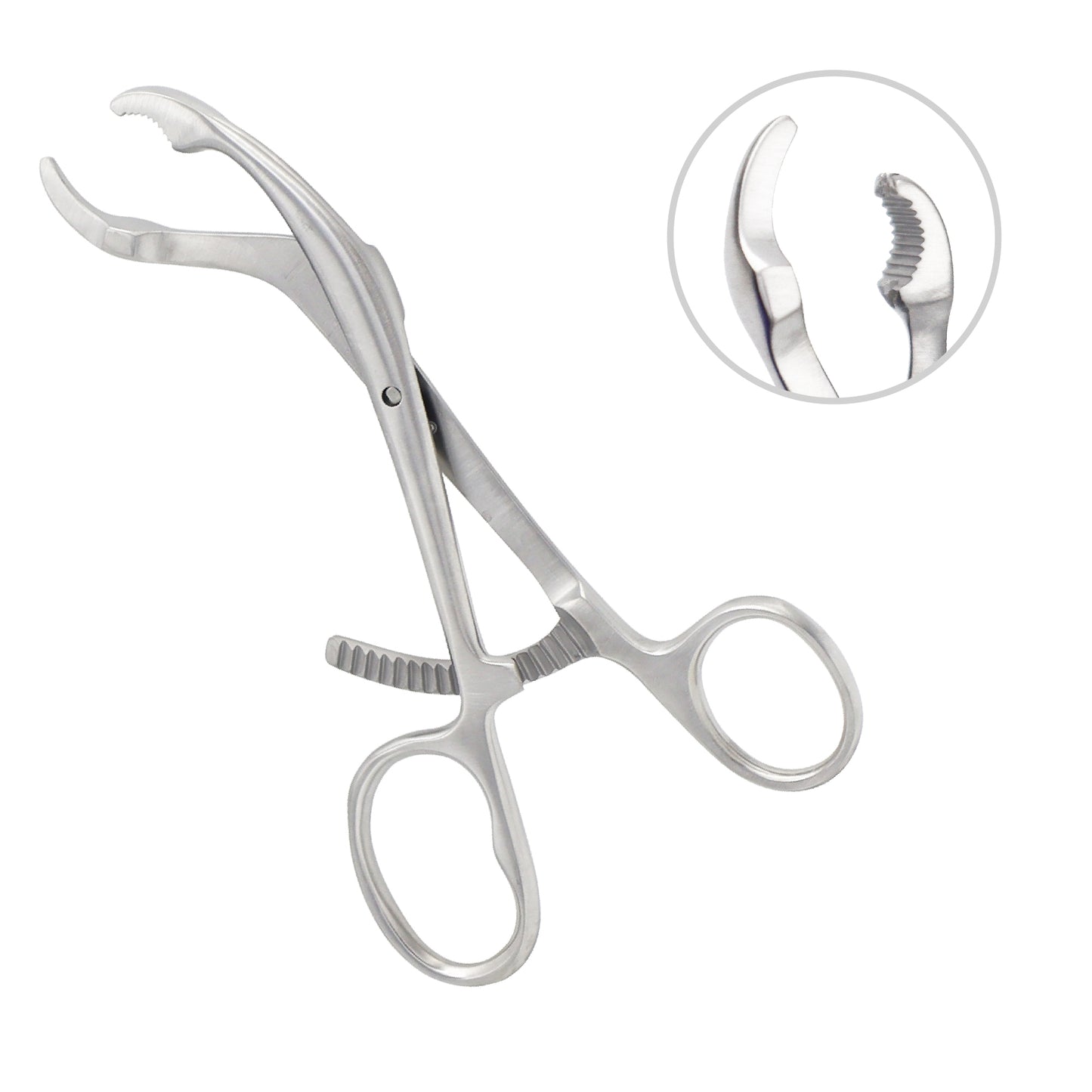 Verbrugge Bone Holding Forceps